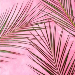 Meet your Posher, Yuris